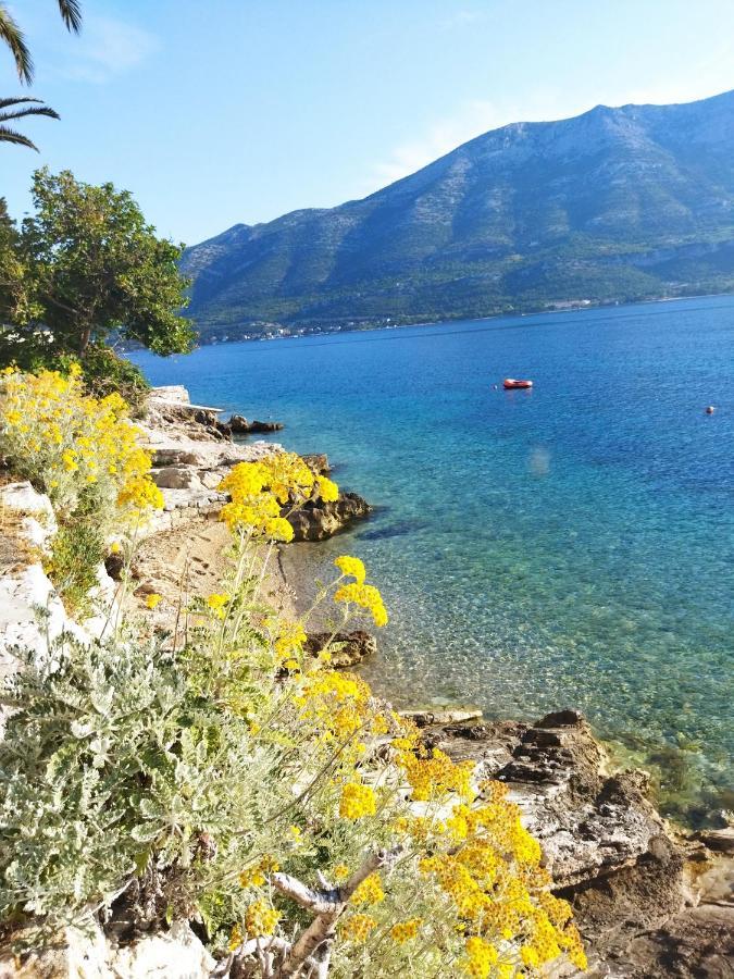 Blaga Apartment - Korčula Dış mekan fotoğraf